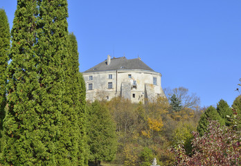 Fototapeta na wymiar old castle at hill over park