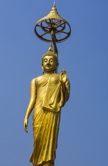 Golden buddha and blue sky