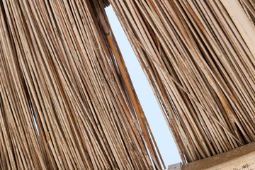 Umbrellas on the beach