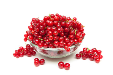 ripe bunches of juicy red currant isolated on white background