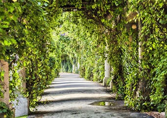 Fototapety  archway in the park at summer.