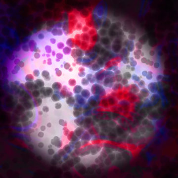 view a microscope of human cells