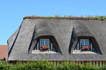 Toit de chaume - Pays d'Auge (Normandie)