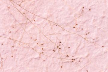 Mulberry paper with dry grass texture pink background