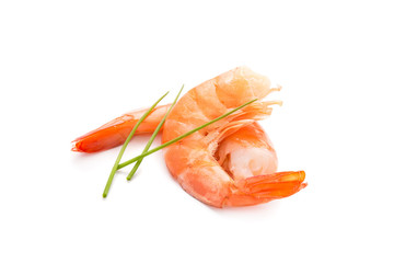 Shrimps on a white background