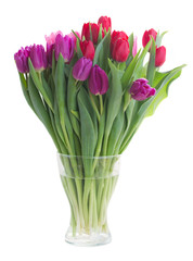 bouquet of  red and purple  tulip flowers