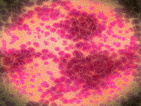 Microscopic view of bacteria