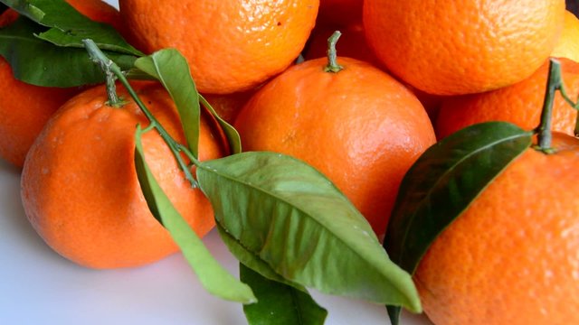 Oranges Bright Fruit