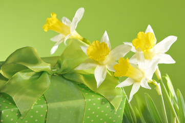 Geschenk mit Narzissen