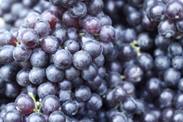 Fresh grapes