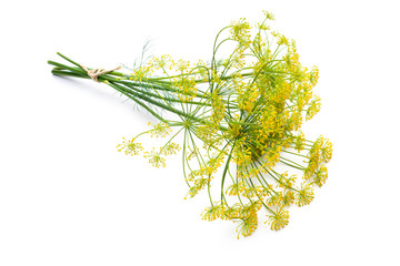 Dill isolated on white