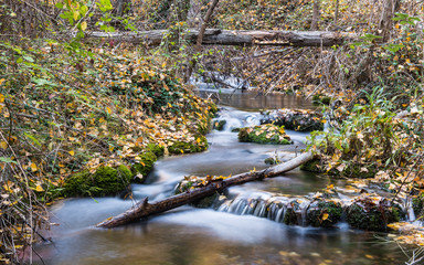Río Bohilgues (Ademuz). Valencia. España