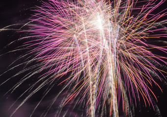 Fireworks exploding in the night sky