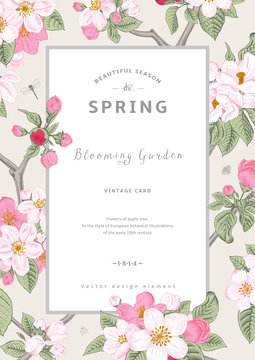 Vintage vector vertical card spring.