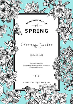 Vintage vector vertical card spring.