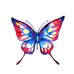 butterflies design