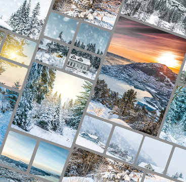 winter forest in the mountains