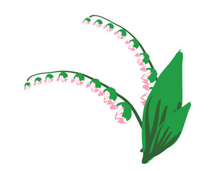 sketch of a flower lily of the valley. vector illustration