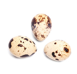 quail eggs