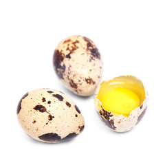 Obraz premium quail eggs