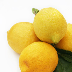 limoni con foglie_sfondo bianco