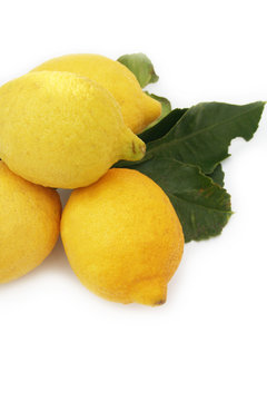 limoni con foglie_sfondo bianco
