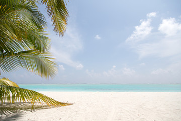 Fototapeta na wymiar Traumziel, Strand, Erholung, Urlaub, Malediven, Reise