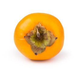 persimmon