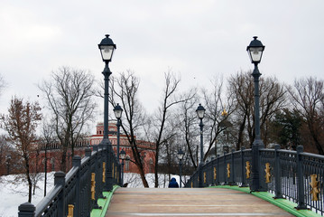 Fototapeta na wymiar View of Tsaritsyno park in Moscow. A bridge decorated by street lights.
