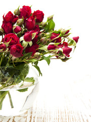 Red roses in vase