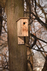 Closeup of a birdhouse on a trunk