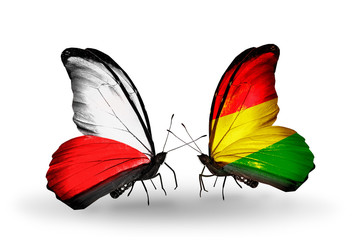 Two butterflies with flags Poland and Bolivia