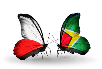 Two butterflies with flags Poland and Guyana
