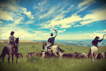 Three cowboys drive herd of horses , toning, vignetting