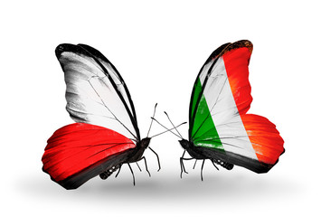 Two butterflies with flags Poland and Ireland