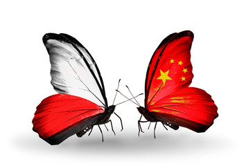 Two butterflies with flags Poland and China