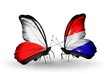 Two butterflies with flags Poland and Holland