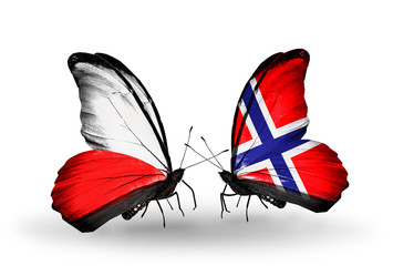 Two butterflies with flags Poland and Norway