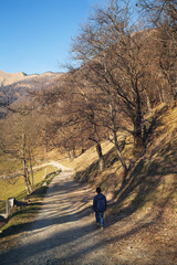 Obraz premium winter sunny day wildlife outdoor trip