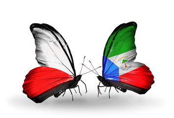 Two butterflies with flags Poland and Equatorial Guinea