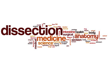 Obraz premium Dissection word cloud
