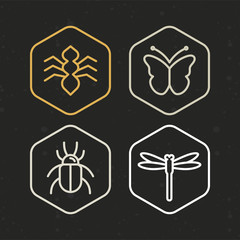 Fototapeta premium Vector insect icons in line style