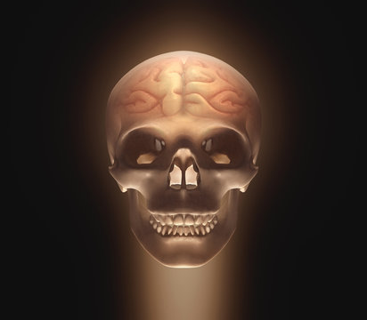 Skull with clipping path included.