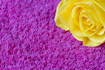 Obraz na płótnie Canvas Beautiful yellow rose on a pink towel
