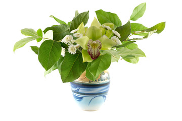 orchid in a vase with leaves