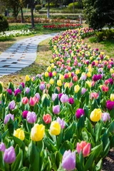 Poster de jardin Tulipe champ de fleurs de tulipes au printemps