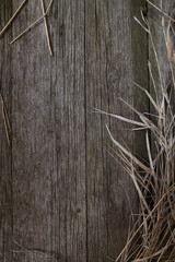 Old rustic wood fence background surface with straw text space