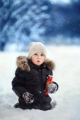 boy in the winter forest