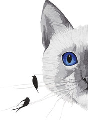 Fototapeta premium rysunek kota o niebieskich oczach i ptakach