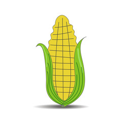 vector corn